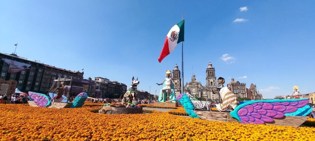 Flor de cempasúchil: Es un símbolo de amor y tradición mexicana, al igual que el colibrí. Foto: Citli Toribio