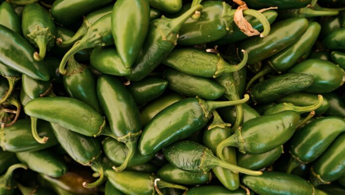 El 16 de enero es el Día Internacional de la Comida Picante. Foto: Freepik