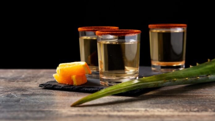 En el Festival del Pulque, Gastronomía Típica y Mezcal tendrá variedades para conocedores del agave. Foto: Freepik